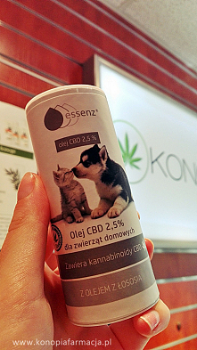 Twój zwierzak to pokocha !
CBD dla zwierząt domowych