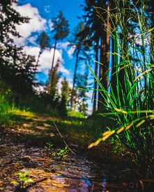 #gorozdobywacz#górozdobywacz