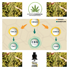 CBGa - naturalny środek na depresje