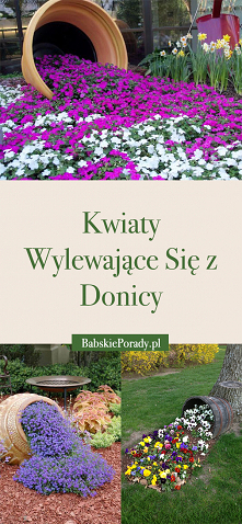 Kwiaty Wylewające Się z Donicy – Nowy Trend W Ogrodnictwie