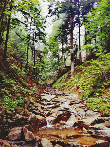 Szybkie ujęcie podczas grzy...