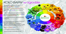 Kolo barw w ogrodzie