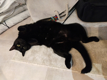 Co się patrzysz? 
Miziaj!!!