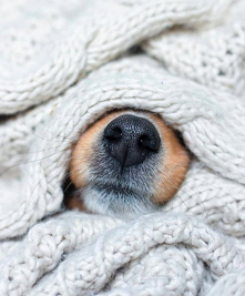 Przygotowany na zimę :)