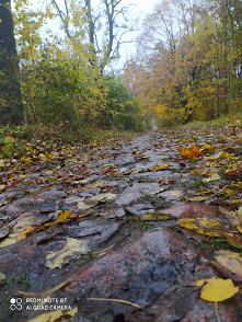 My Autumn... my way.. my place.