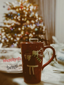 Wesołych świąt życzy sister...