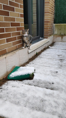 Pierwszy śnieg Nali 