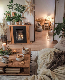 Salon 
#święta #salon #kot #kominek