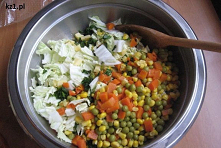 Sałatka gyros, sałatka kebab.