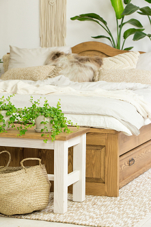 Drewniana sypialnia w stylu rustykalnym wykonana z litego drewna sosnowego, elegancja i styl.
#meblewoskowane #drewno #mebledrewniane #vintage #sypialnia #łóżko #wnętrza #aranaż...