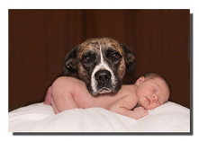 W ramie, na płótnie canvas lub magnes na lodówkę. Z każdego zdjęcia zrobimy to co zechcesz. Zapraszamy