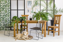 Drewniany stół z krzesłąmi w stylu rustykalnym.
W czasach dominacji technologii potrzeba bliskości natury jest w nas coraz silniejsza. Zapewnia ją nie tylko kontakt z przyrodą, ...