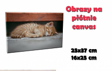 Nasze #obrazy na płótnie canvas dodają uroku każdemu pomieszczeniu. Dla was wykonamy z każdego zdjęcia śliczny obraz.