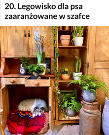 #diy #legowisko #pies #dog