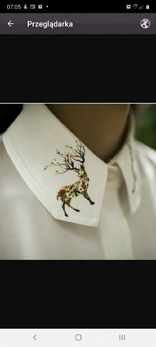 cześć Zszywkowiczki
poszukuję miejsca/sklepu/strony internetowej gdzie znajdę damskie koszule z takimi delikatnymi zdobieniami na kołnierzyku 
chodzi mi o całą gładką koszulę i ...