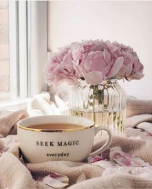 seek magic every day