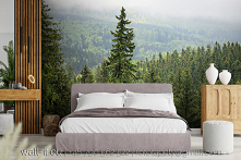 Fototapeta las we mgle. Propozycja do sypialni. Autorskie tapety, wzór nr DEW119