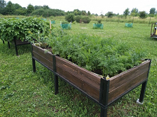 Donica Warzywna - pomysł wł...