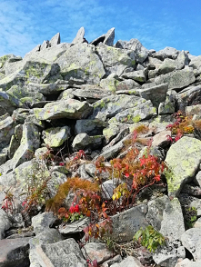 ,, kamyczki" na Babiej Górze :d