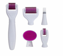 Dermaroller 6w1 
W zestawie:

zbiorniczek do dezynfekcji.
rączka.
12 igłowy stempelek.
szczoteczka do twarzy
300 igłowa głowica z igłami o długości 0,5mm
720 igłowa głowica z ig...