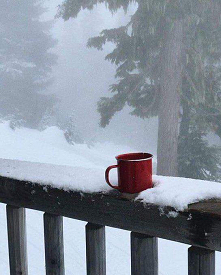 81 dni do świąt! Miłego tygodnia kochani ❄️ Macie ulubiony kubek w którym pijecie swój ulubiony napój? My mamy kubeczek z reniferem i śnieżynka, cały rok w nim pijemy ☕