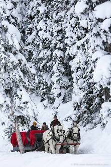 26 dni do świąt! Kiedy macie urodziny? ❄️