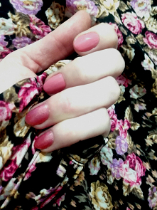 Ceglaste#krótkie#pazurki