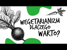 Wegetarianizm - dlaczego warto? | Zdrowo Najedzeni

Czy dieta wegetariańska, to tylko moda? Czy trzeba wyeliminować mięso w 100%? Posłuchaj co na temat diety bezmięsnej ma do po...