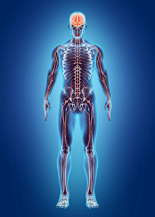 Termolezja stawów międzykręgowych to w pełni bezpieczny zabieg, który dzięki wykorzystaniu prądu o wysokiej częstotliwości pomoże Ci uporać się z powracającym bólem kręgosłupa.