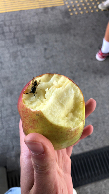 osa z usa światowa 
temsknilam ale byłam zajęta rozwojem firmy paluszkuw i kopaniem soli himalajskiej