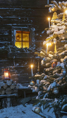 77 dni do świąt!!
Jakie plany na dzisiaj?