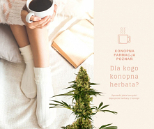 Herbata konopna ma mnóstwo korzyści prozdrowotnych. Zawiera ona szerokie spektrum kannabinoidów , witamin, składników odżywczych i przeciwutleniaczy.
W wielu badaniach naukowych...