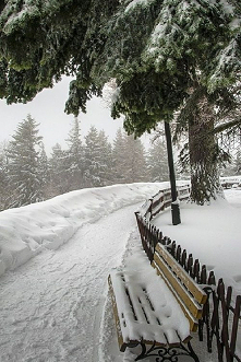 30 dni do swiat!
Znowu spadlo mnostwo sniego i dzisiaj koniecznie idziemy sie w nim bawic! Milego dnia!