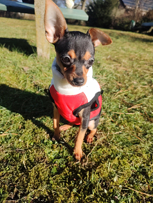 W końcu chociaż słonko ☀