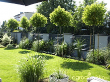 Fajne spotkanie, fotki z ogrodu Joli super a pomidorki mniam :)