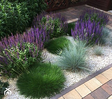 Aranżacje wnętrz - Ogród: Metamorfoza ogrodu - Ogród - Ewa Szumowska. Przeglądaj, dodawaj i zapisuj najlepsze zdjęcia, pomysły i inspiracje designerskie. W bazie mamy już prawie...