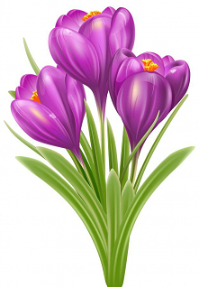 Astronomiczna wiosna - Ozdoby: Wiosenne kwiaty 2 Marzec Ozdoby Święta i pory roku Wiosna
Dekoracje na Wiosnę do sali przedszkola czy szkoły podstawowej i na gazetkę. Darmowe mat...