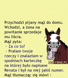 Kobyła dzwoniła... :) - Zgrywne.pl
