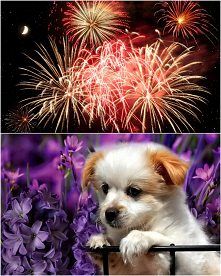 SYLWESTROWE HASŁO

Na nasz Naród już od dawna moda naszła,
że do akcji wymyślamy sobie hasła.
Dawno temu (aż tak dawno ,że o rety),
ktoś zakrzyknął "hej kto Polak na bagnet...