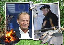 Kaczka

Przyszła kaczka dnia pewnego orła z gniazda wypierdolić.
Orzeł patrzy, co się dzieje -  drób do chaty się gramoli.
Spojrzał groźnie, dziób wykrzywił, wyprostował lewe sk...