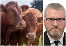 BYDLAKI
Dziś nawet dziki i leśna fauna wstydzą się, widząc Grzegorza Brauna,
gdy ktoś , za jego ostatnią drakę, niesprawiedliwie go zwie bydlakiem.
Stanę po stronie tej leśnej d...