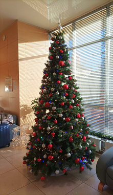 KOLĘDA 2025

Służby wchodzą ,PIS truchleje, ja zaś wiarę mam prawdziwą,
że Bóg Polsce da nadzieję na prawdę i sprawiedliwość.
Że złodziei precz wygoni i przepędzi od koryta,
prz...