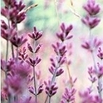 Okładka palety kolorów