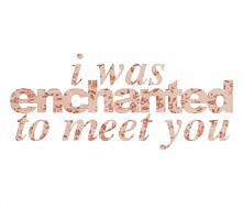 i was enchanted to meet you