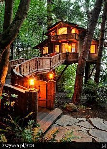 Tree house