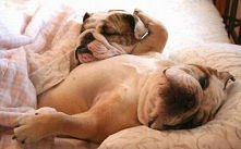 Nic - nierobienie pochłania...