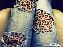 panterka & jeans - wypas!!