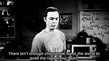 The Big Bang Theory