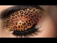 Leopard Eyes: HD Makeup Tutorial