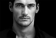 Top model: David Gandy Więc...